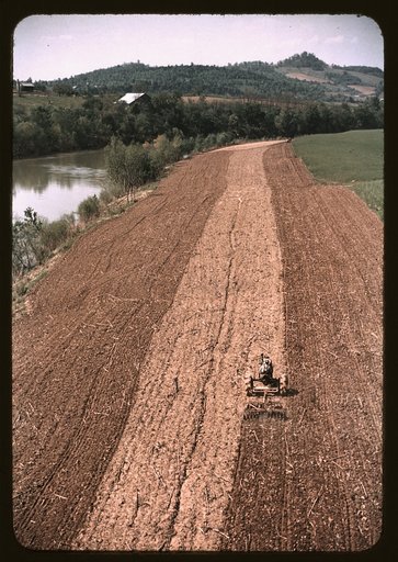 Planting corn along a river in Tennessee
