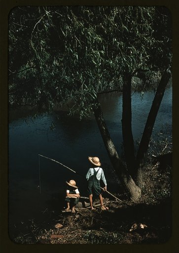 Boys fishing in a bayou, Schriever, La.