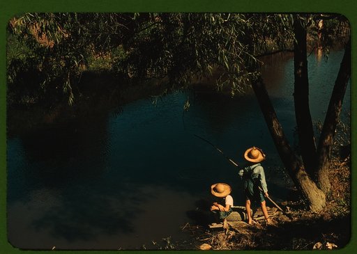 Boys fishing in a bayou, Schriever, La. Cajun children in a bayou near the school. Terrebonne, a Farm Security Administration project