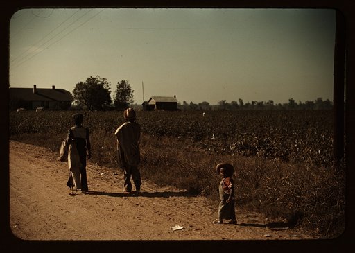 Marcella Plantation, Mileston, Miss.