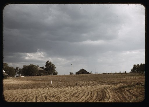 Workers going home from an afternoon of chopping cotton, Greene County, Ga.