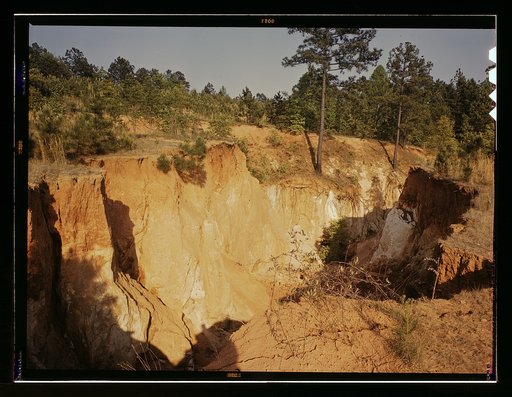 Greene Co., Ga., eroded farm land