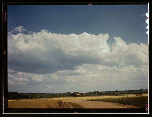Landscape on the Jackson farm, vicinity of White Plains, Ga.