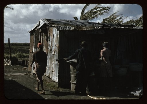 Negro migratory workers and one shack, Belle Glade, Fla.
