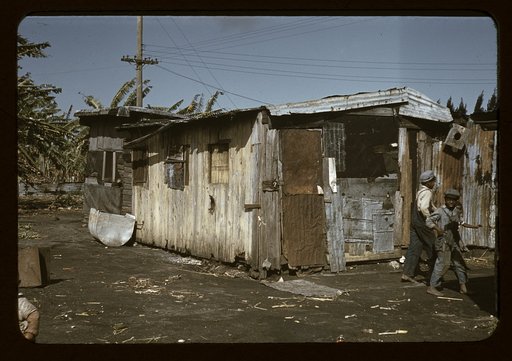 Shacks of Negro migratory workers, Belle Glade, Fla.