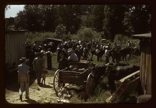 Mountaineers and farmers trading mules and horses on "Jockey St.," near the Court House, Campton, Wolfe County, Ky.