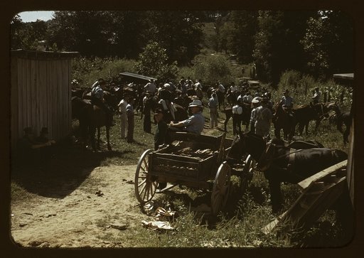 Mountaineers and farmers trading mules and horses on "Jockey St.," near the Court House, Campton, Wolfe County, Ky.