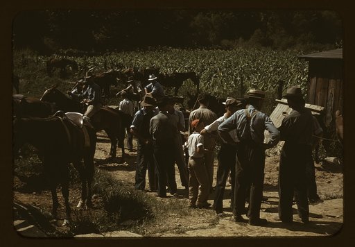 Mountaineers and farmers trading mules and horses on "Jockey St.," near the Court House, Campton, Wolfe County, Ky.