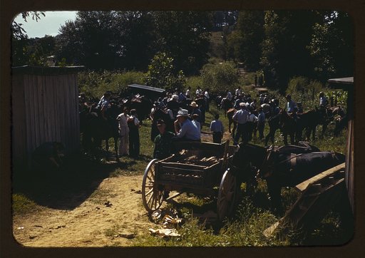 Mountaineers and farmers trading mules and horses on "Jockey St.," near the Court House, Campton, Wolfe County, Ky.