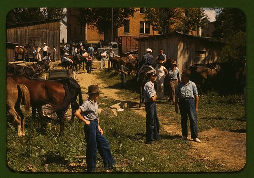 Mountaineers and farmers trading mules and horses on "Jockey St.," near the Court House, Campton, Wolfe County, Ky.