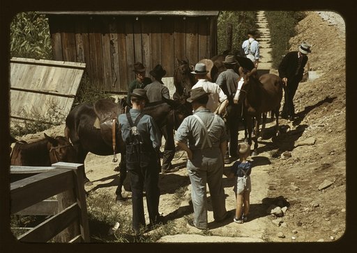 Mountaineers and farmers trading mules and horses on "Jockey St.," near the Court House, [Campton], Wolfe County, Ky.