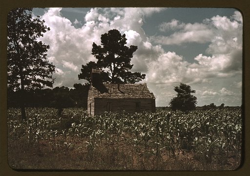 A Negro church in a corn field, Manning, S.C.