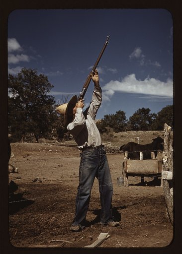 Mr. Leatherman, homesteader, shooting hawks which have been carrying away his chickens, Pie Town, New Mexico