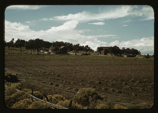 Field of beans and farmstead of Bill Stagg, homesteader, Pie Town, New Mexico