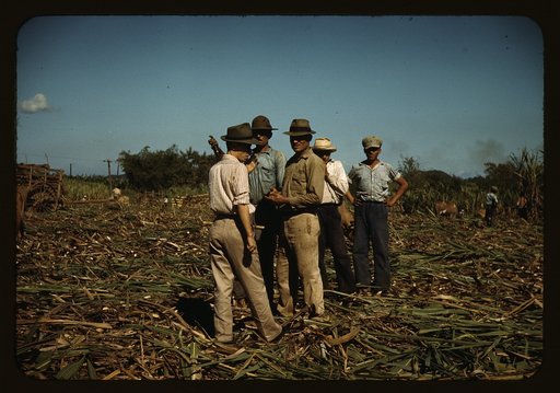 Sugar cane workers resting, Rio Piedras, Puerto Rico