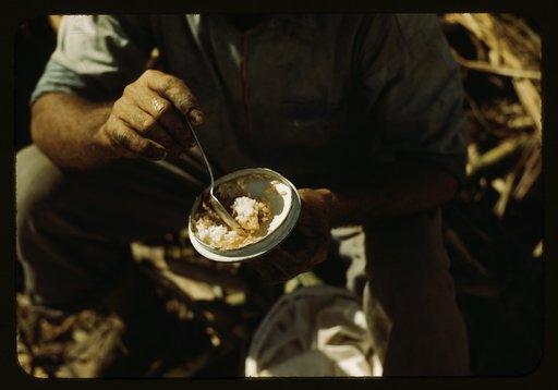 Rice and papaya in the lunch of a sugar worker on a plantation, vicinity of Guanica, Puerto Rico?
