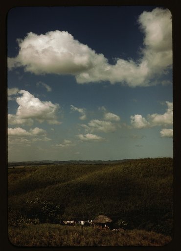 Sugar cane land, vicinity of Rio Piedras, Puerto Rico
