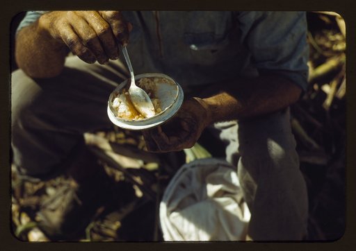 Rice in a lunch of a sugar worker on a plantation, vicinity of Guanica, Puerto Rico?