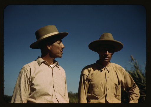 Sugar cane workers, vicinity of Rio Piedras, Puerto Rico