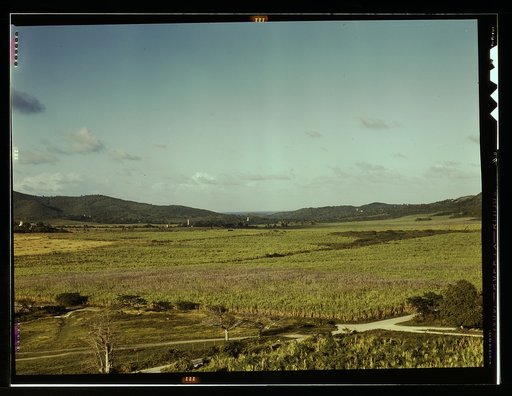 Sugar cane land, Yabucoa Valley? Puerto Rico