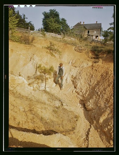 Greene Co. Ga., eroded farm land