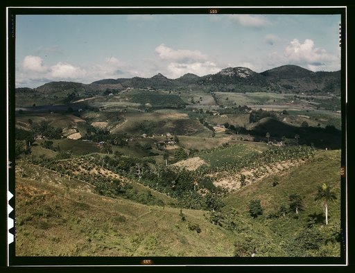 Small farms in the hills, vicinity of Corozal, Puerto Rico