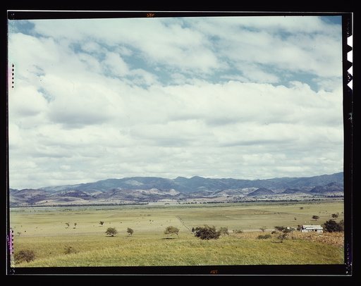 In the flat cattle country in the south western tip of Puerto Rico