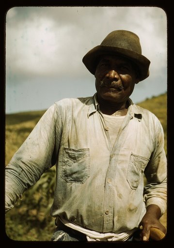 Farm Security Administration borrower, vicinity of Frederiksted, St. Croix, Virgin Islands