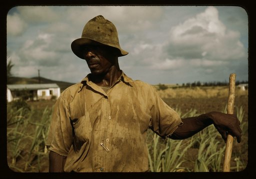 Farm Security Administration borrower, vicinity of Frederiksted, St. Croix, Virgin Islands