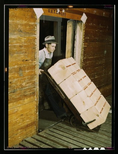 Loading oranges into refrigerator car at a co-op orange packing plant