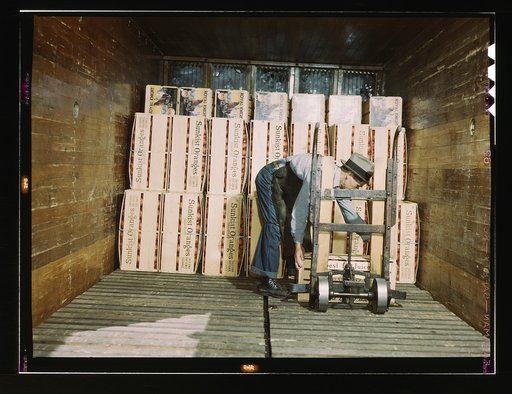 Loading oranges into a refrigerator car at a co-op orange packing plant, Redlands, Calif. Santa Fe R.R. trip