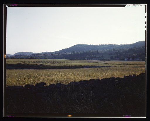 Farmland along the upper Delaware River in New York state