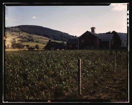Farmland along the Delaware River, N.Y.