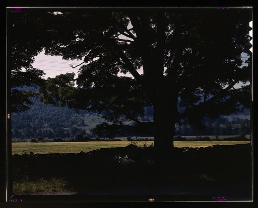 Farmland along the upper Delaware River in New York state