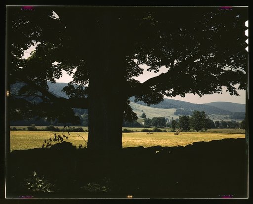Farmland along the upper Delaware River in New York state
