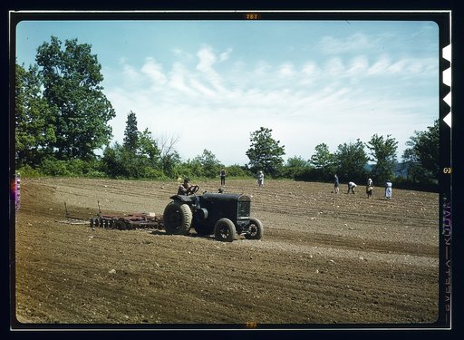 Farm owned by James Pompey, who 20 years ago came from Italy on the advice of a brother, Southington, Connecticut. People of Finnish, Slav, German, and Polish extraction help him to farm it