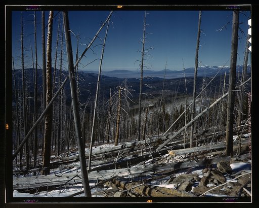 Sangre de Cristo Mountain, New Mexico