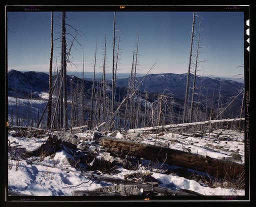 Sangre de Cristo Mt., New Mexico