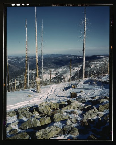 Sangre de Cristo Mountains, N[ew] Mex[ico