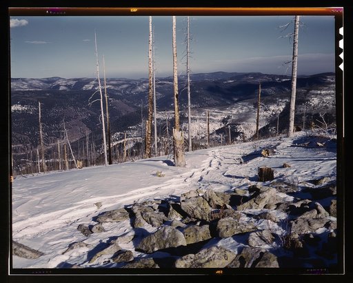 Sangre de Cristo Mountains, N[ew] Mex[ico