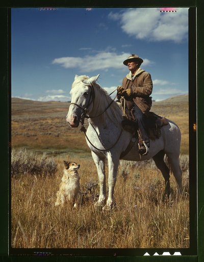Shepherd with his horse and dog on Gravelly Range, Madison County, Montana