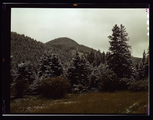 First snow of the season in the foothills of the Little Belt Mountains, Lewis and Clark National Forest, Meagher County, Montana
