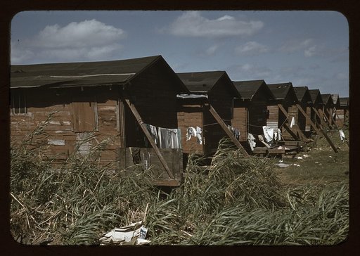 Houses which have been condemned by the Board of Health but are still occupied by Negro migratory workers, Belle Glade, Fla.