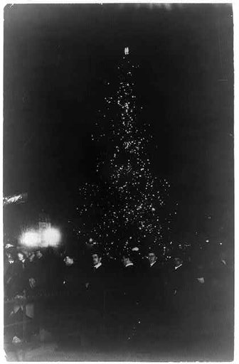 Municipal Christmas tree, Madison Square Park, N.Y.C.