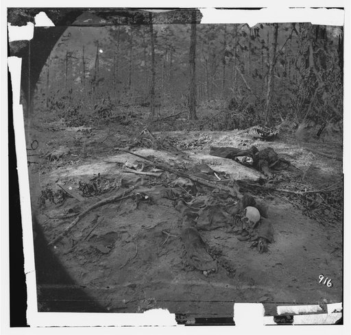 Cold Harbor, Va., vicinity. Unburied dead on the battlefield of Gaines' Mill