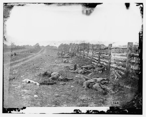 Antietam, Md. Confederate dead by a fence on the Hagerstown road