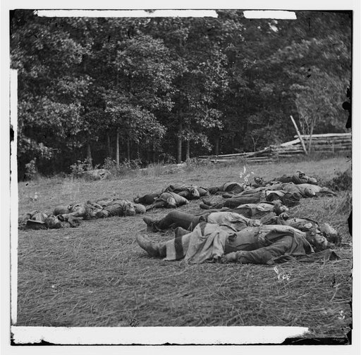 Gettysburg, Pa. Confederate dead gathered for burial at the southwestern edge of the Rose woods, July 5, 1863