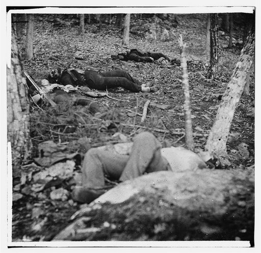 Gettysburg, Pa. Four dead soldiers in the woods near Little Round Top