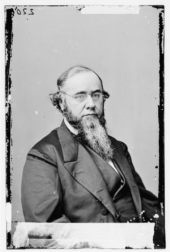 Portrait of Secretary of War Edwin M. Stanton, officer of the United States government