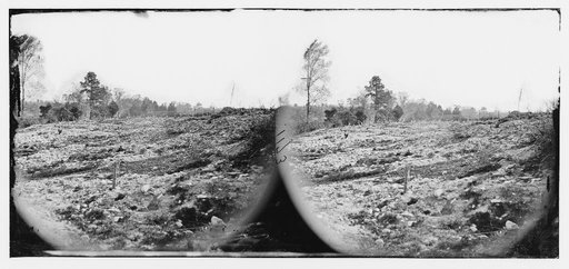 Cold Harbor, Va. View of the battlefield